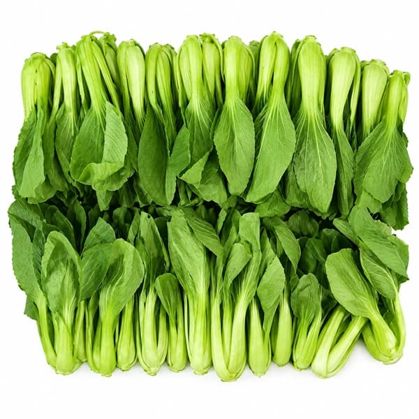 Cải Chíp / Cải Thìa