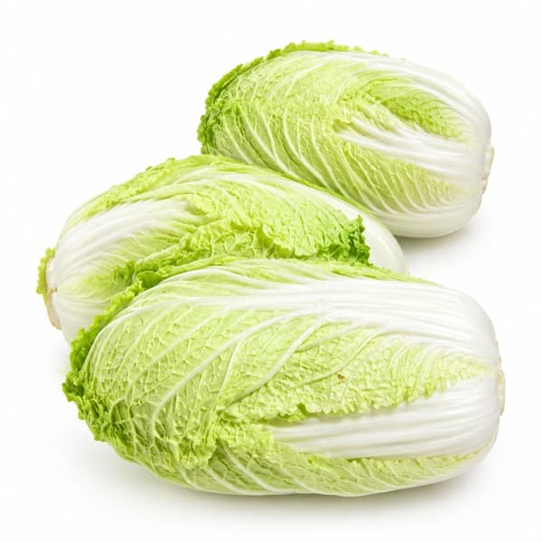 Bắp cải thảo