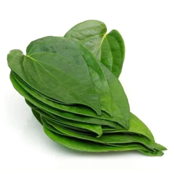 Lá Lốt