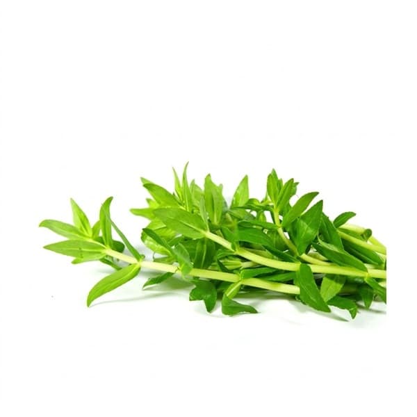 Rau Ôm / Ngò Om
