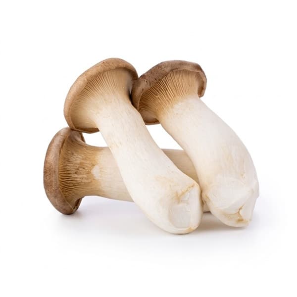 Nấm Ðùi Gà