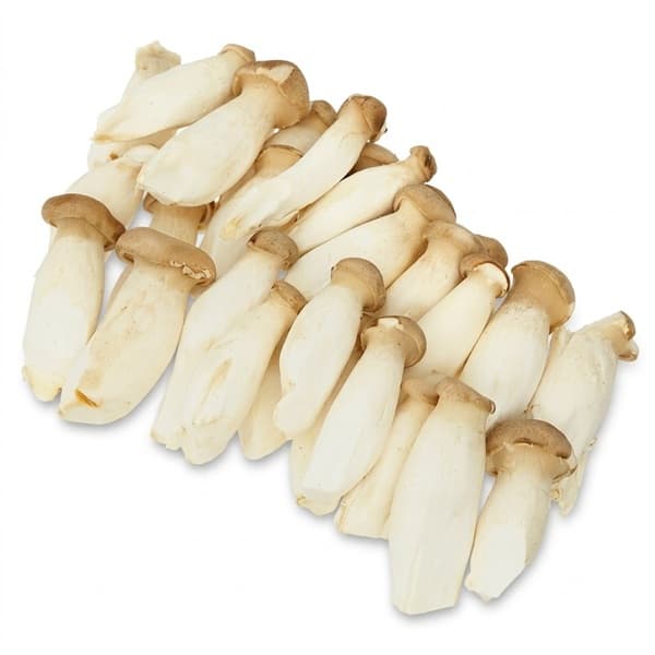 Baby King Oyster Mushroom - China