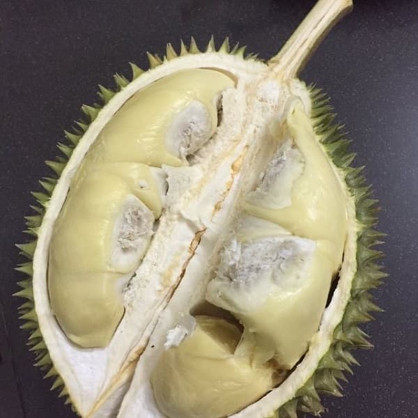 Sầu Riêng Chuồng Bò