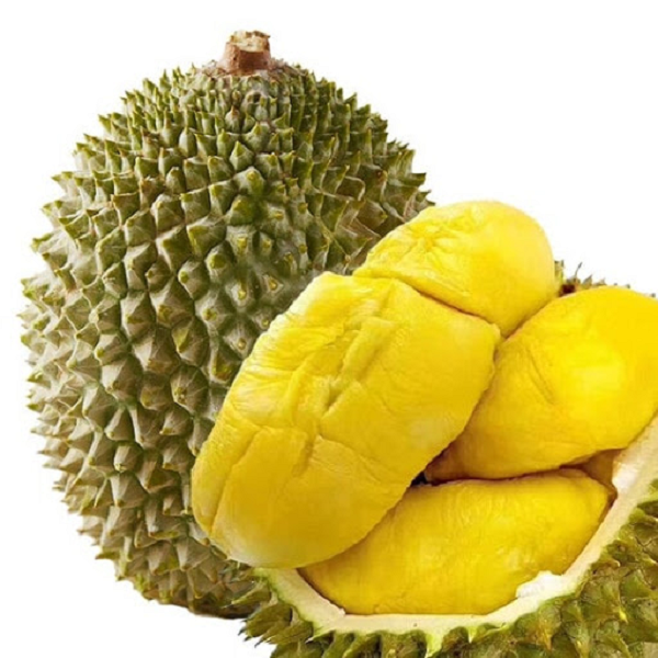 Sầu Riêng Cái Mơn