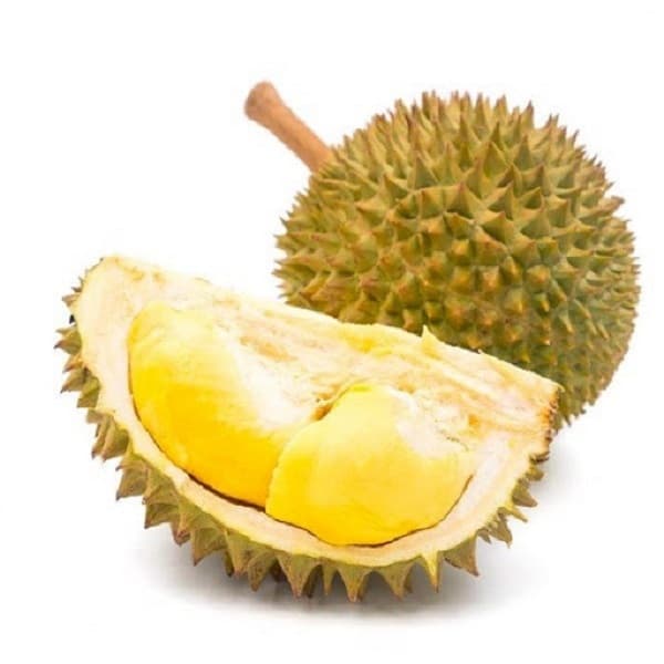 Sầu Riêng Dona