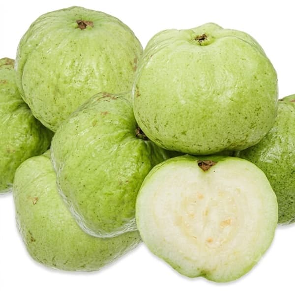 Ổi Nữ Hoàng