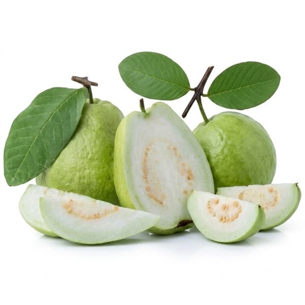 Ổi Lê / Ðài Loan