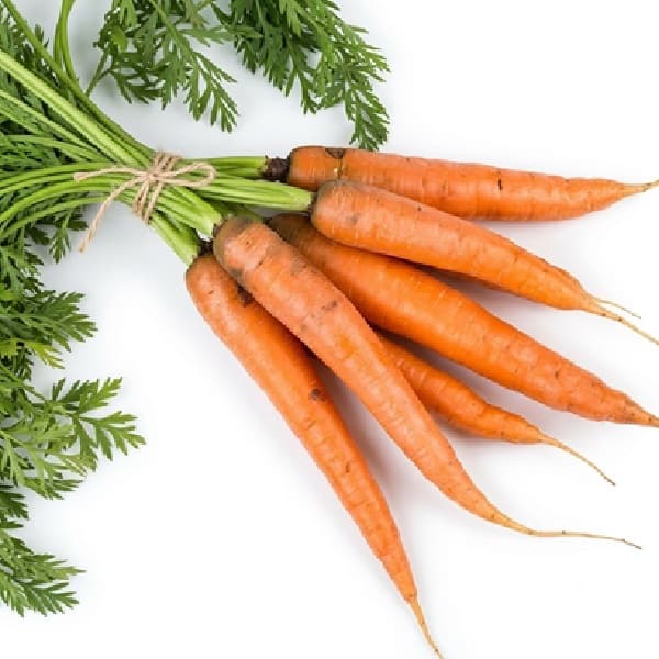 Orange Carrot - Dalat - Grade 1