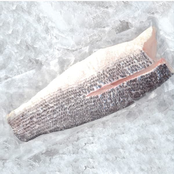 Giant Snakehead Fish - Fillet, Boneless - TOH Fish - 500g PE Bag