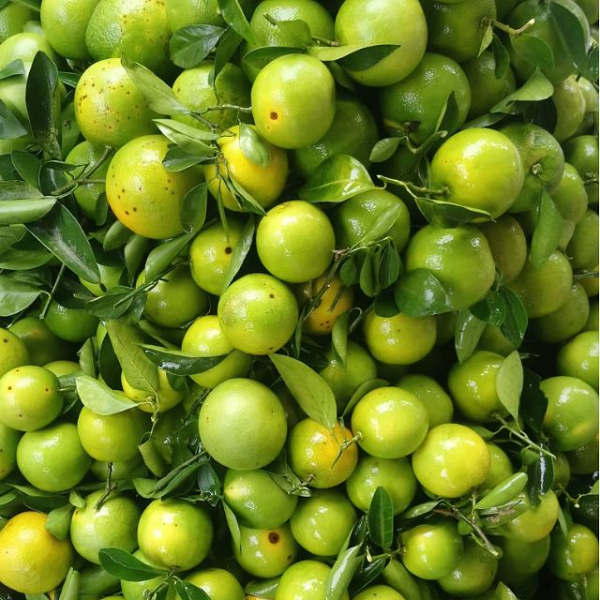 Cam Xoàn - Miền Tây