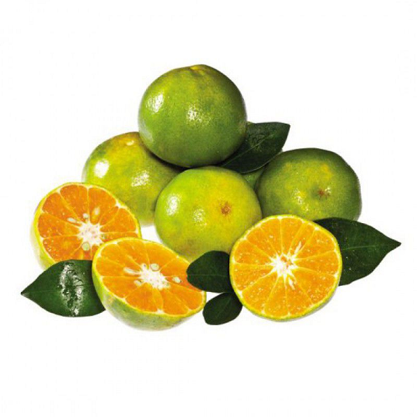 Quýt đường - Miền Tây